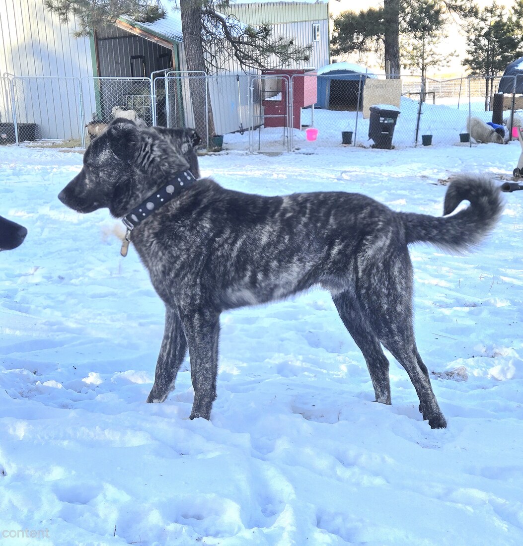 20260111_084305(1)(1)