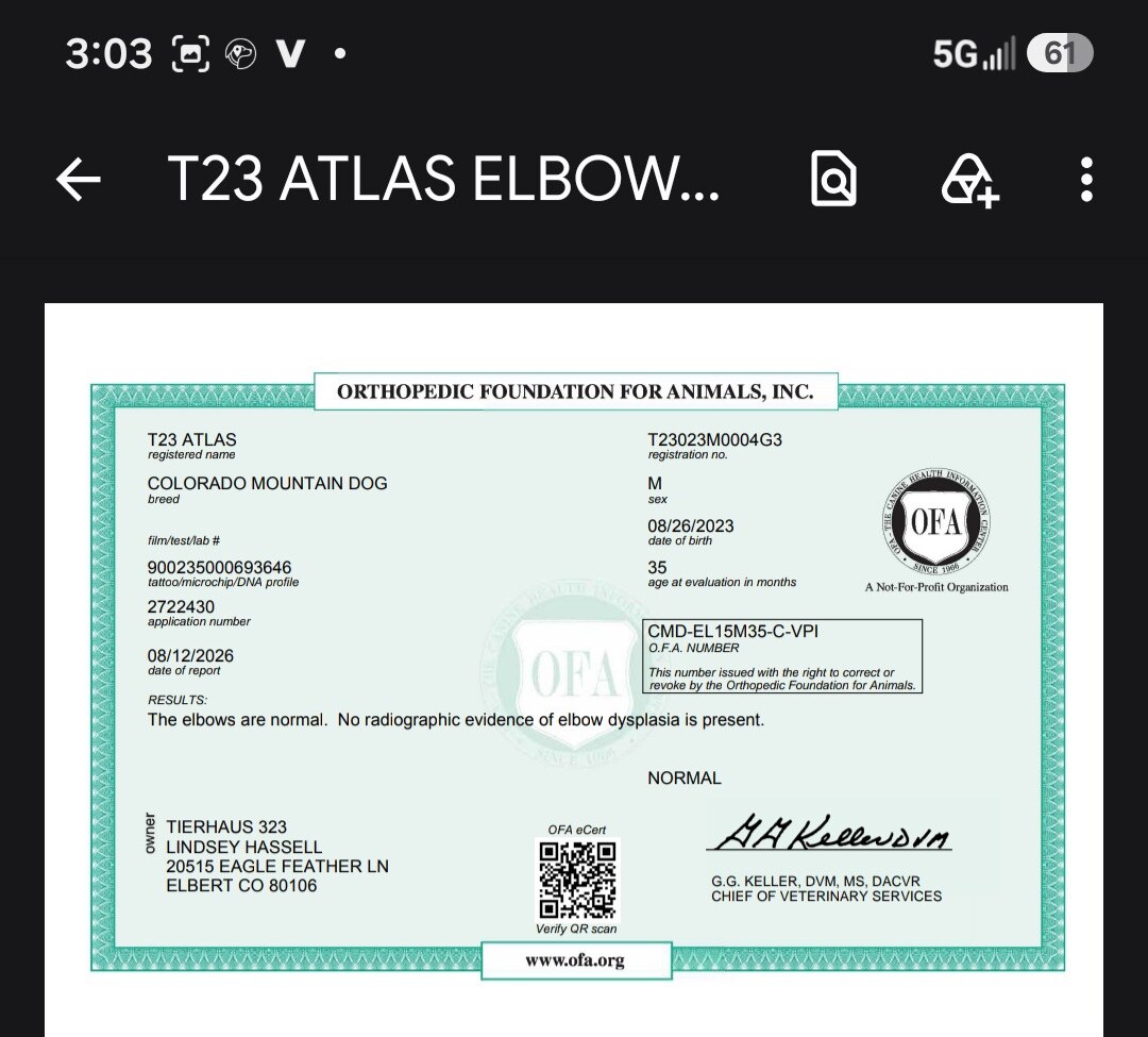 1000065483