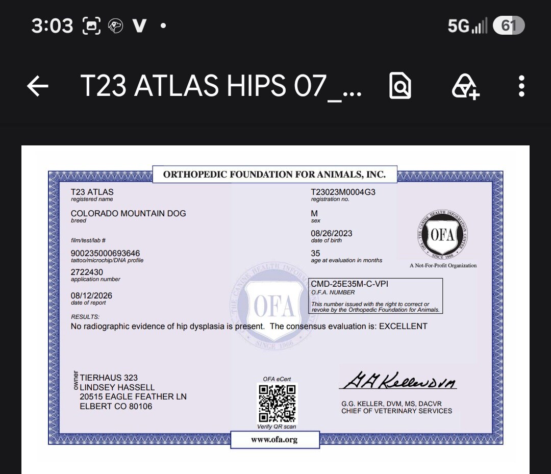 1000065485