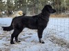 T23 Mora- Reserved