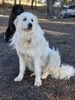 SCF Sasha of T23